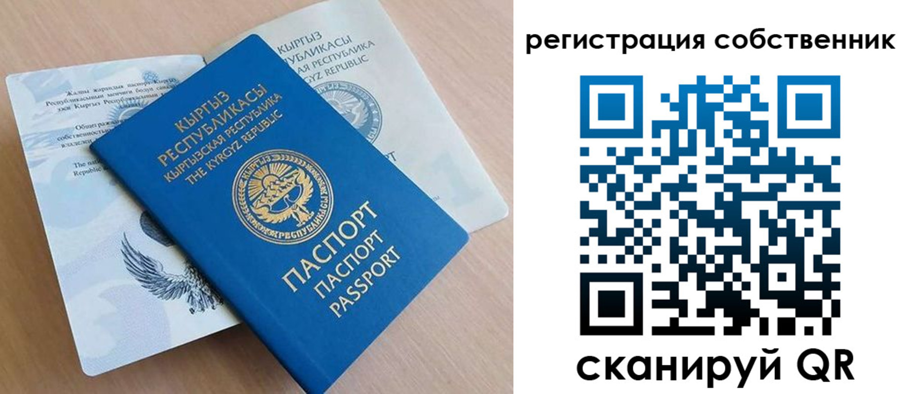 прописка законно в Мытищах